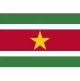 Logo Suriname
