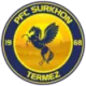 Logo Termez Surkhon