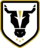 Logo Bulls Academy (W)
