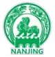 Logo Nanjing Team