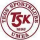 Logo Tegs SK