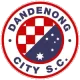 Logo Dandenong City SC